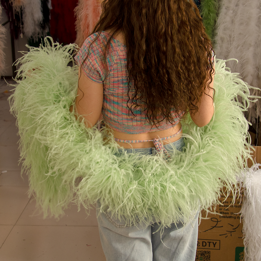 Natural Ostrich Feather Boa 2M - Feather Trim Marabou ulasan dan harga