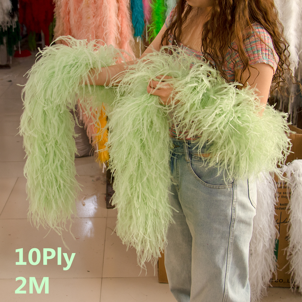 Natural Ostrich Feather Boa 2M - Feather Trim Marabou ulasan dan harga