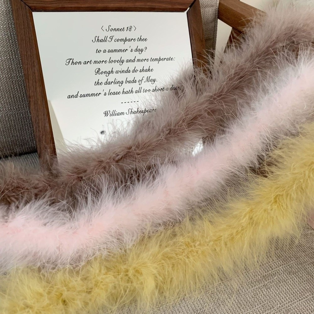 2 Meter Marabou Feather Boa Fa - Feather Trim Marabou ulasan dan harga