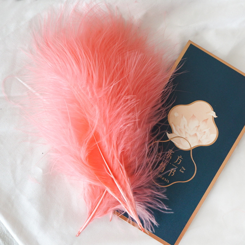 50Pcs Fluffy Turkey Marabou Fe - Feather Trim Marabou ulasan dan harga