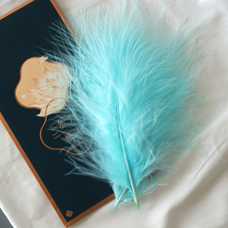 50Pcs Fluffy Turkey Marabou Fe - Feather Trim Marabou ulasan dan harga